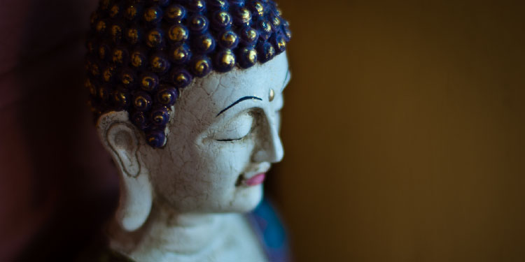 meditacion-coyo-1017-01a