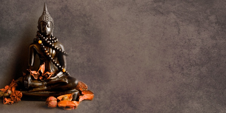 dia-especial-meditacion-coyo-1117-08