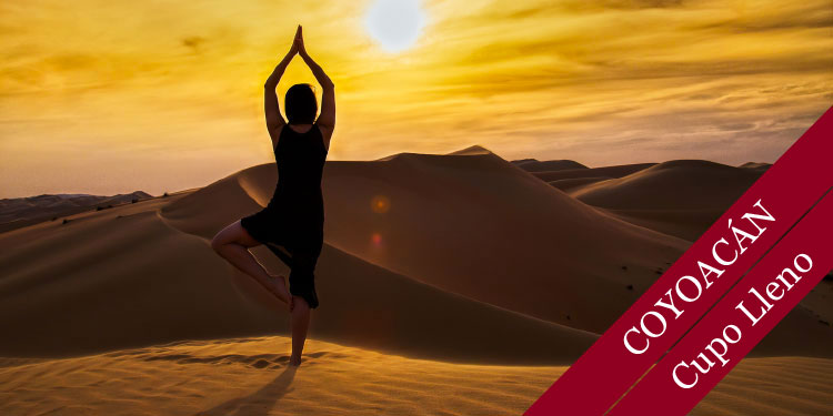 yoga-coyo-1217-01cd