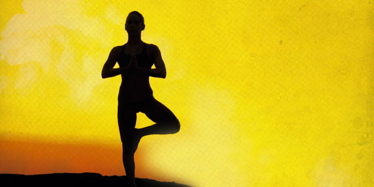 curso-profundizacion-iyengar-01a